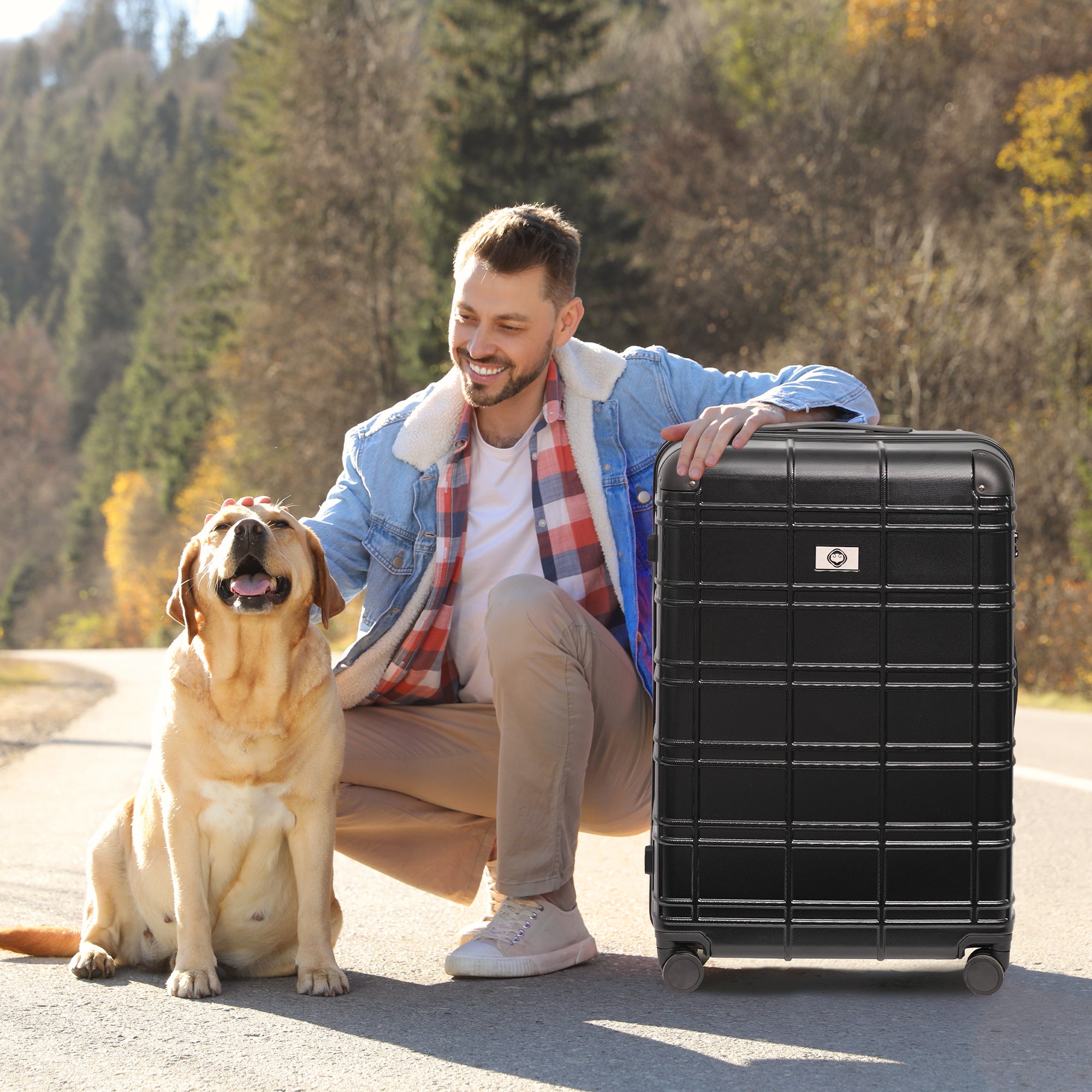 Luggage Sets ABS+PC Hardshell 4pcs Luggage Hardside Lightweight Durable Suitcase sets Spinner Wheels Suitcase with TSA Lock (12/20/24/28),black