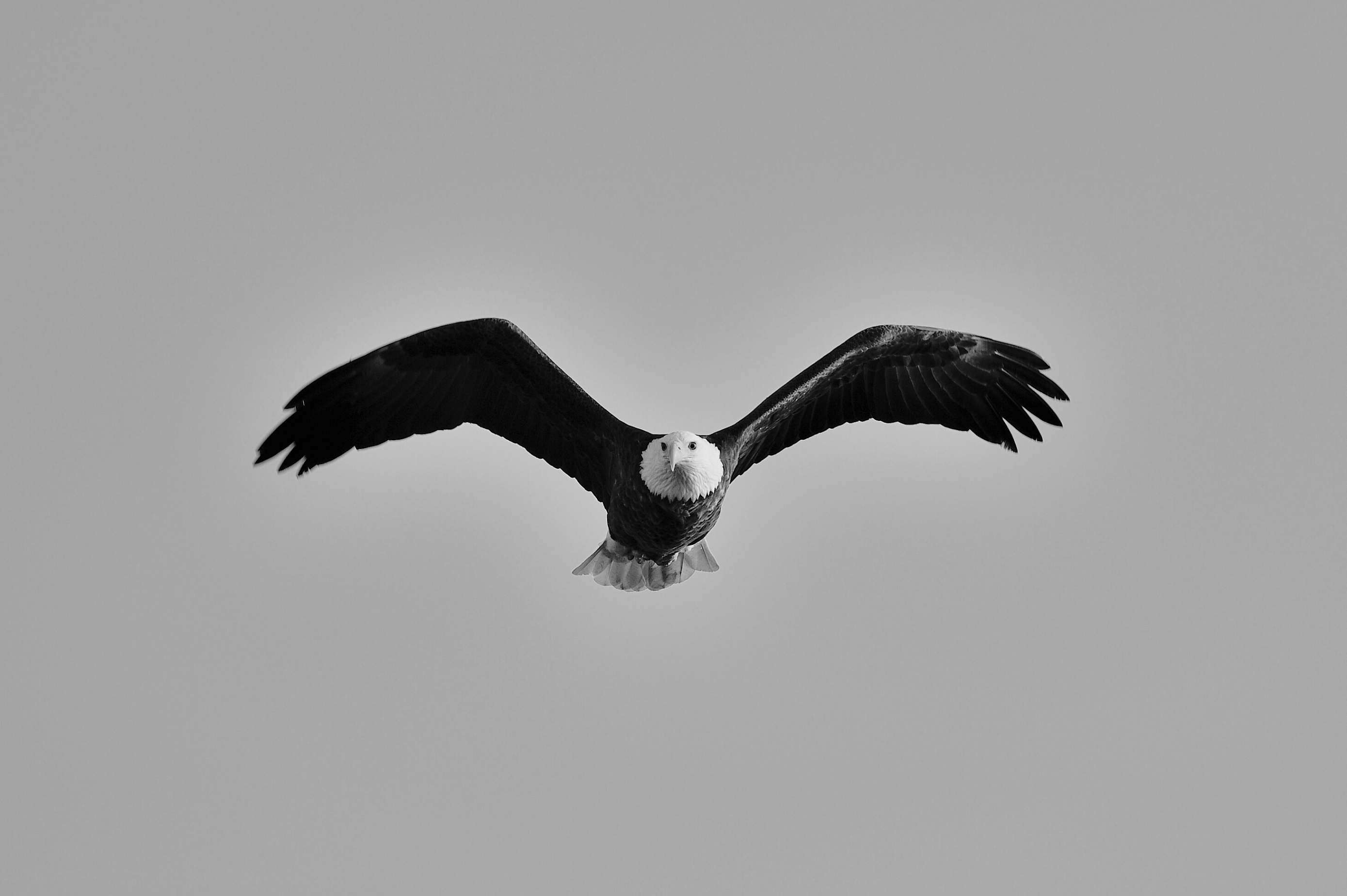 Untitled_design_14.png